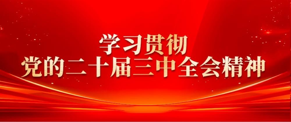 學習貫徹黨的二十屆三中全會精神② 產發園區集團董事長劉孝萌：抓好“建、招、儲、運”,建設高質量產業園區